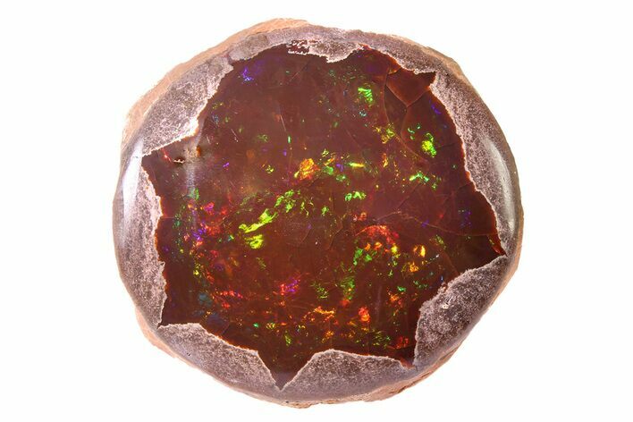Polished Ethiopian Chocolate Opal Nodule - Yita Ridge #316194